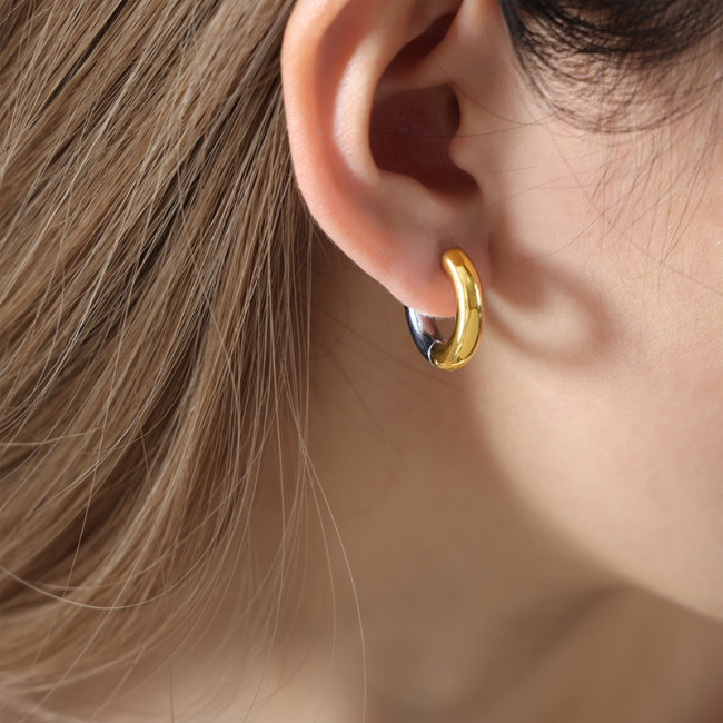 Wholesale Stainless Steel Two Tone Earrings