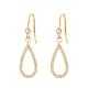 Wholesale Stainless Steel CZ Teardrop Hook Earrings