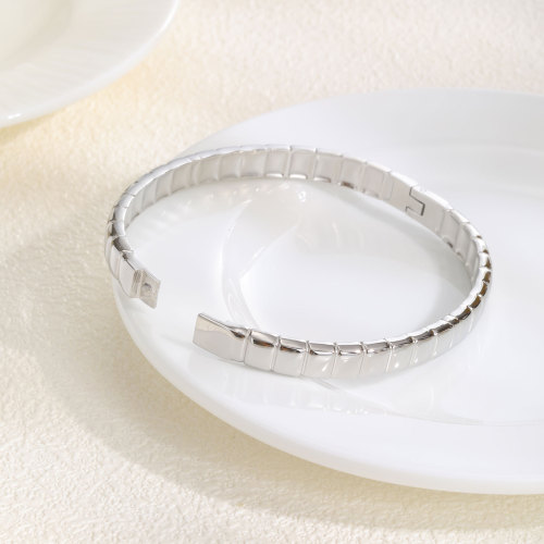 Wholesale Stainless Steel Ice Cube Bangle
