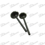 Engine Intake Exhaust Valves For Z190 Zongshen 190cc Pit Dirt Bike ZS1P62YML-2