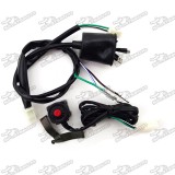 Wiring Loom Harness + Kill Stop Switch For Chinese 50cc 70cc 90cc 110cc 125cc 140cc 150cc 160cc Pit Dirt Bike Motocross