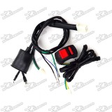 Kill Stop Switch + Wiring Loom Harness For Chinese 50cc 70cc 90cc 110cc 125cc 140cc 150cc 160cc Kick Start Engine Pit Dirt Bike CRF50