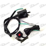 Wiring Loom Harness + Kill Stop Switch For Chinese 50cc 70cc 90cc 110cc 125cc 140cc 150cc 160cc Pit Dirt Bike Motocross