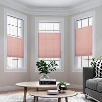 SILVIA Cordless Light Filtering Cellular Shade Top Down Bottom Up Honeycomb Blinds with White Backing