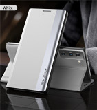 Leather Plating Magnetic Case For Samsung S24 S23 Ultra S22 S21 S20 FE S10E S9 Plus Note 20 Ultra 10 Plus Stand Flip Phone Cover