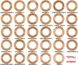 D&D Condition Rings 106 PCS Wooden Status Effect Markers in 29 Conditions Great DM Tool for Dungeons & Dragons, Pathfinder and RPG Miniatures