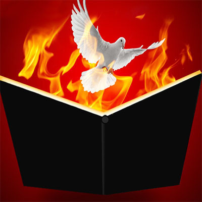 Dove & Fire Book