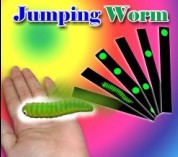 Jumping Worm