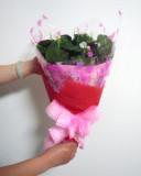 Blooming Bouquet, New Style