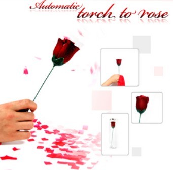 Automatic Torch to Rose