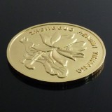 Chinese Jumbo Half Yuan Coin - 3 inch