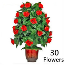 Blooming Rose Bush - Remote Control - 30 Flowers