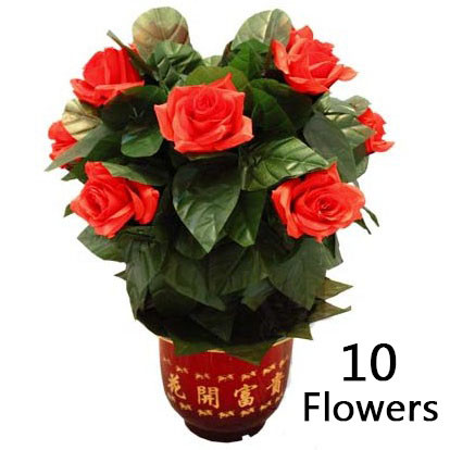 Blooming Rose Bush - Remote Control - 10 Flowers