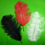 Ostrich Feathers for Appearing Cane/Vanishing Cane (3 Colors)