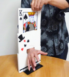 Card Through Arm Illusion by China Magic