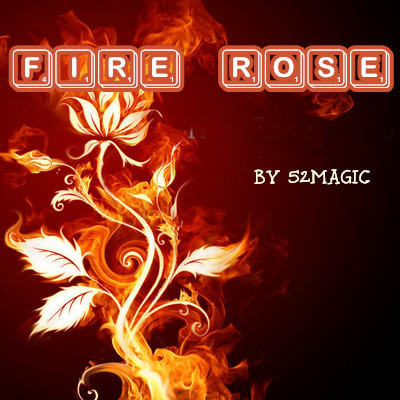 The Fire Rose by 52magic