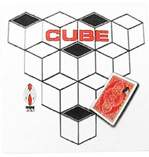Cube (With DVD) by Shoot Ogawa