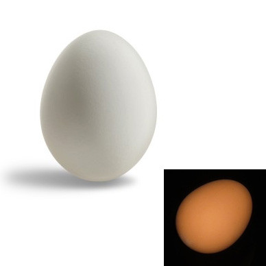 Super Rubber Egg (White/Brown)