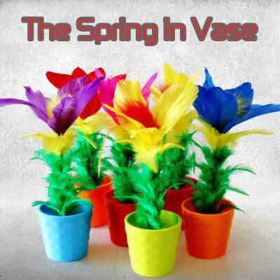 The Spring in Vase