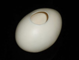 Super Latex Egg (Brown/White)