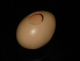 Super Latex Egg (Brown/White)