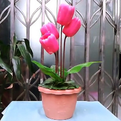 Animated Tulips by China Magic