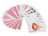 Pair of Plastic Playing Cards