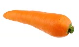 Rubber Carrot