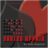 * Sorted Affair (2013) by Sean Bogunia