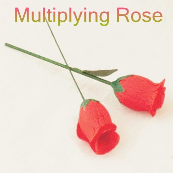 Multiplying Rose Set