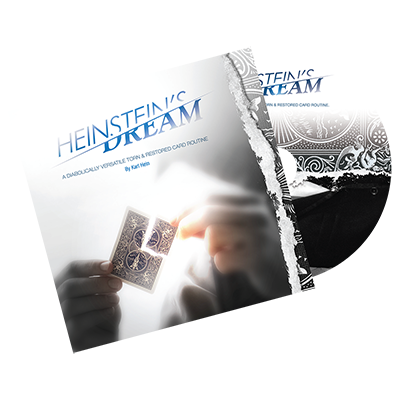 Heinstein's Dream by Karl Hein