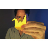 Origami Effect by Andrew Mayne - DVD