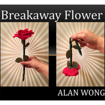 The Breakaway Flower by Alan Wong