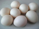 Super Plastic Egg (White, Hollow)
