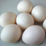 Super Plastic Egg (White, Hollow)