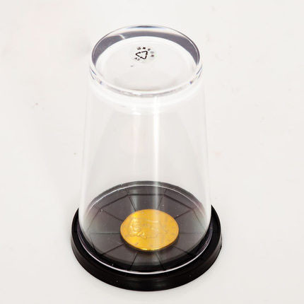 Coin Thru Glass (With Plastic Cup, Small)