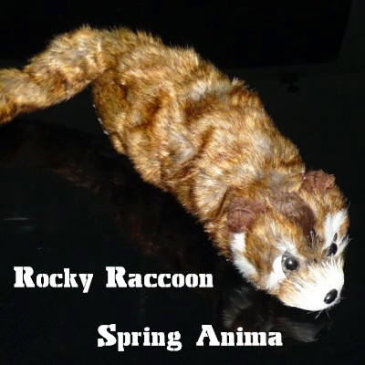 Rocky Raccoon Spring Anima