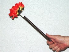 Appearing Flower Wand/ Rising Wand Combo