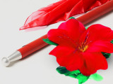 Lightning Flower to Cane (Red Cane and Red Flower)