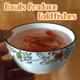 Bowls Produce Goldfishes