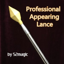 Professional Appearing Lance - Metal