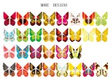 Flying Butterfly - 12 Pieces (Dozen)