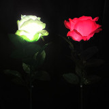 Super Light Rose (Rechargeable, 2 Colors)