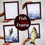 Fish from Frame