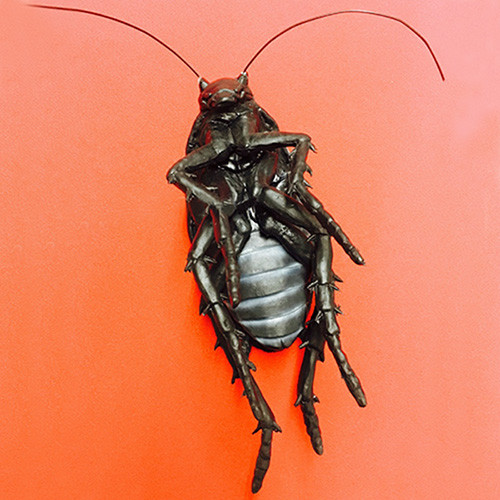 roach stuffed animal