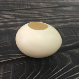 Real Egg (Brown/White)