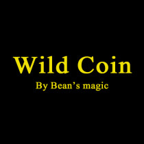 WILD COINS by Bean's Magic