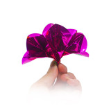 9 Spring Flowers from Fingertips (Plastic Clip)