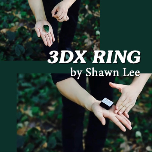 3DX Ring by Shawn Lee