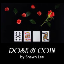 Rose & Coin by Shawn Lee